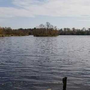 Meet your Posher, Cassandra